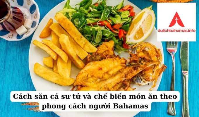 Read more about the article Cách săn cá sư tử và chế biến món ăn theo phong cách người Bahamas