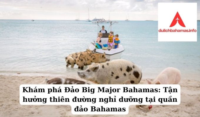 Read more about the article Khám phá Đảo Big Major Bahamas: Tận hưởng thiên đường nghỉ dưỡng tại quần đảo Bahamas