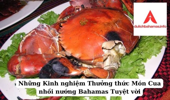 Read more about the article Những Kinh nghiệm Thưởng thức Món Cua nhồi nướng Bahamas Tuyệt vời