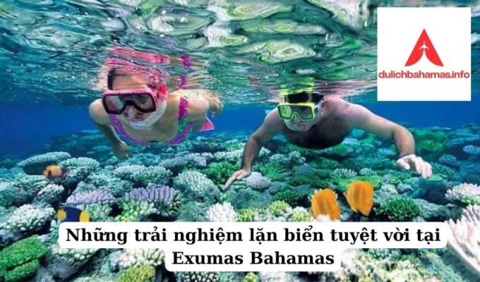 Read more about the article Những trải nghiệm lặn biển tuyệt vời tại Exumas Bahamas