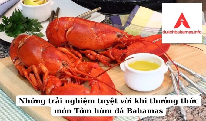 Read more about the article Những trải nghiệm tuyệt vời khi thưởng thức món Tôm hùm đá Bahamas