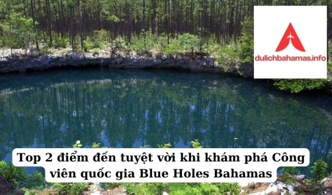 Read more about the article Top 2 điểm đến tuyệt vời khi khám phá Công viên quốc gia Blue Holes Bahamas