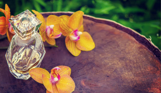 Read more about the article Explore Unique Scent Choices for a Truly Unforgettable Fragrance